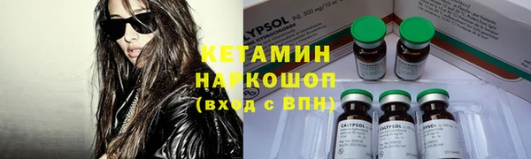 ПСИЛОЦИБИНОВЫЕ ГРИБЫ Няндома