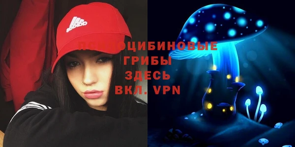 ПСИЛОЦИБИНОВЫЕ ГРИБЫ Няндома