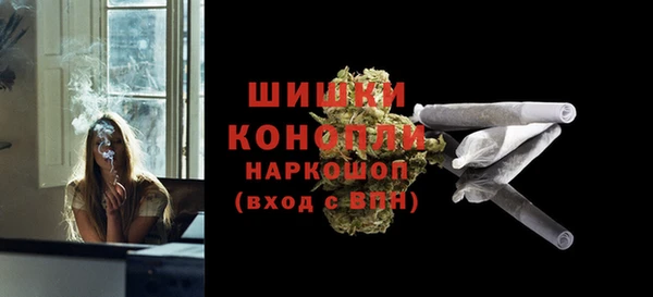 стафф Новодвинск
