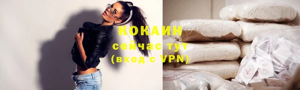 ПСИЛОЦИБИНОВЫЕ ГРИБЫ Няндома