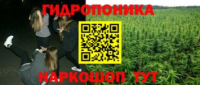 a pvp Гатчина