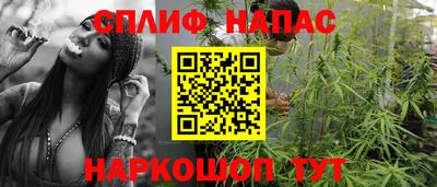 a pvp Гатчина