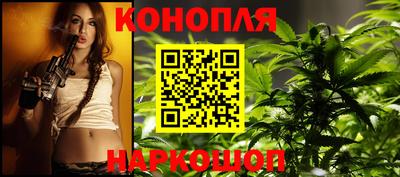 a pvp Гатчина